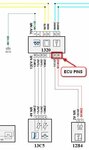 AdBlue Injector to ECU shema!.jpg