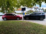 IMG_20251007_171344.jpg