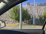 IMG_4670.jpeg