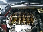 IMG_20200923_164032.jpg