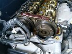IMG_20200923_164128.jpg