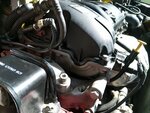IMG_20200925_121549.jpg