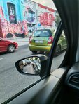 IMG_20201001_072626.jpg