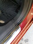 IMG_20210528_122241.jpg