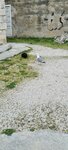 20220407_184030.jpg