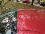 PXL_20231029_132825011.jpg
